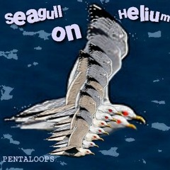 Seagull on helium