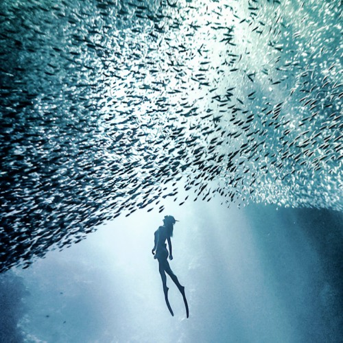 Scott Braithwaite  #2 DEEPDUBTECH SESSIONS VOL 2.   January 2025