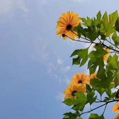 وقاسمهما إني لكما لمن الناصحين..سورة الاعراف