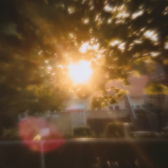 I dont want this dream to end