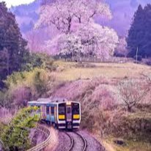 Tokyo Train_