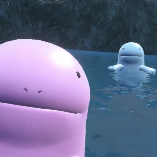 nuooooooooooooooooooooooooooooo