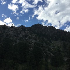 Select all quotes- Lil Nol