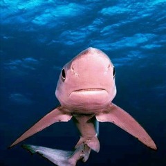 Pick up the Phone - (Forsaken Version)