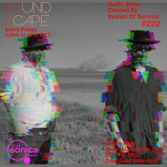 SOundScape #222 System Of Survival