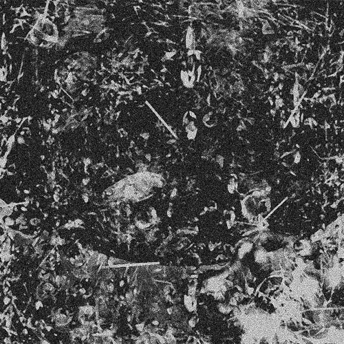 Collapse