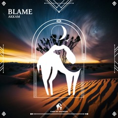 Akkam, Cafe De Anatolia - Blame (Cafe De Anatolia)