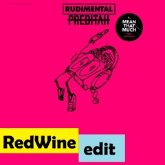 Rudimental Ft. Morgan - Mean That Much (RedWine Edit)