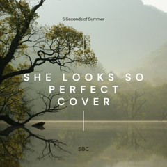 5SOS-She Looks So Perfect(Cover)
