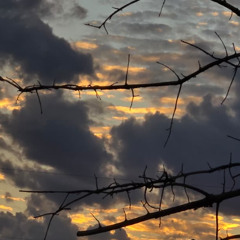 HOUSe State Session 009.'melanHOUS'