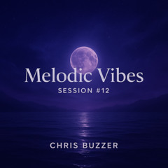 Melodic Vibes Session #12