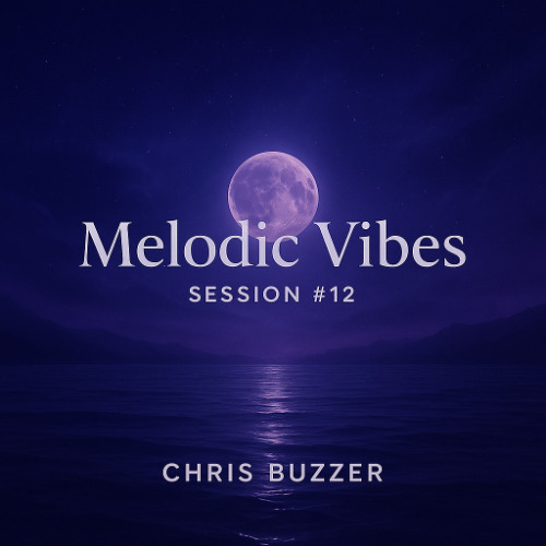 Melodic Vibes Session #12