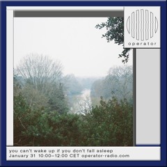 you can't wake up if you don't fall asleep - 31st January 2025