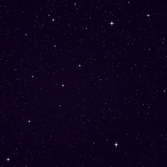 spot