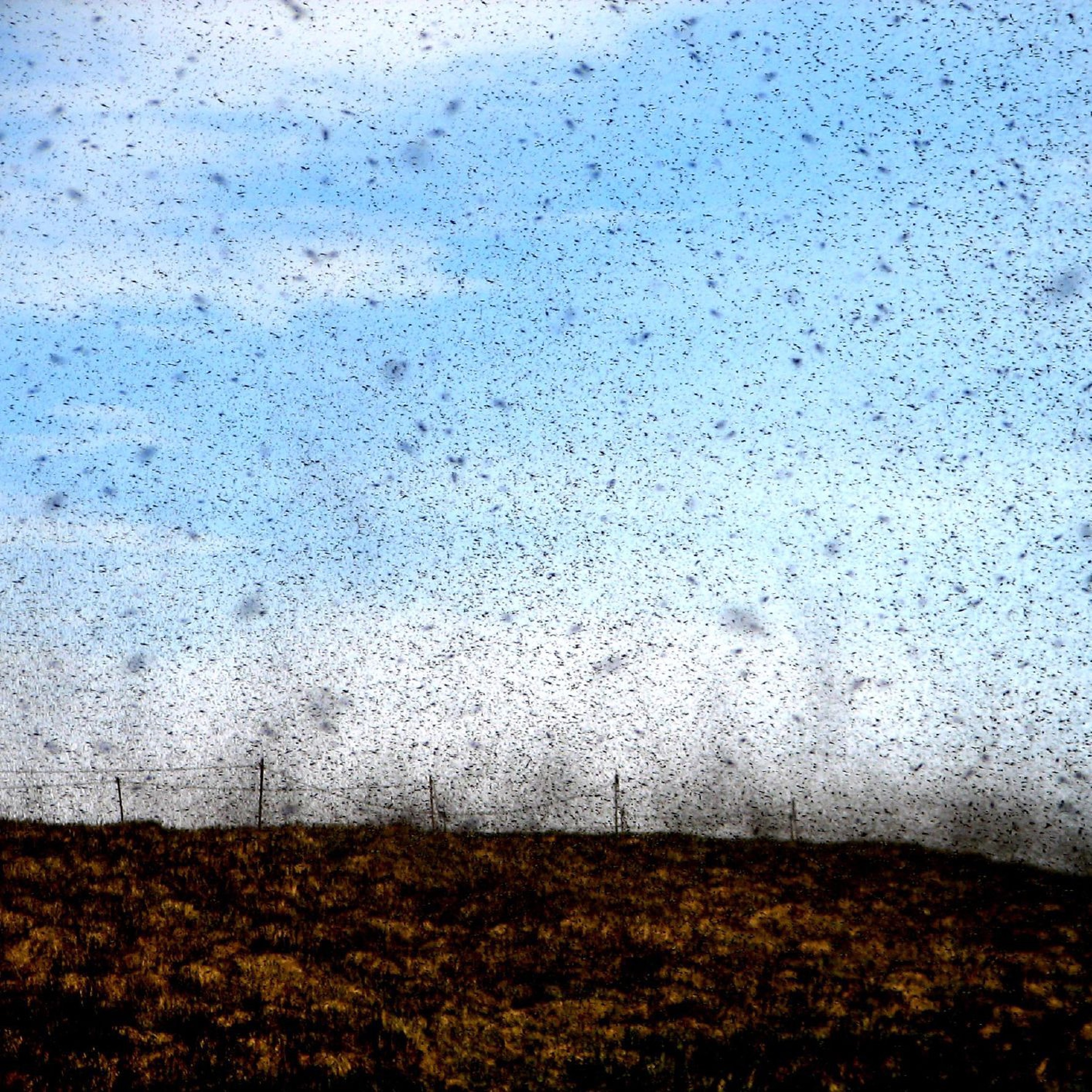 The Exodus: Lice, Flies, and Death - The Plagues of Egypt Get Worse (Part 7) episode artwork