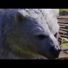 Unbearable! (Geek Gab, Episode 350!)