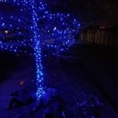 Magic Blue Tree