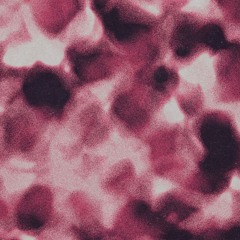 Stigma