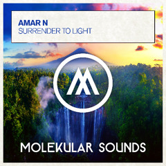 Amar N - Surrender To Light