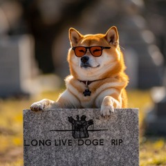 Rip Doge