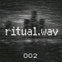 ritual.wav 002 // SHANE DEE // techno set // 08.25