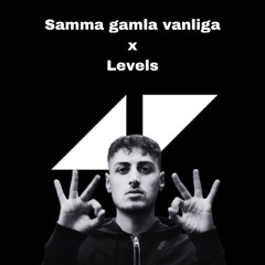 Samma gamla vanliga x Levels (DJ SNiS Mashup)