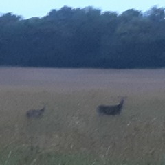 this is why i don't leave the house