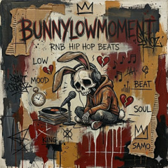 bunnylowmoment - rnb hip hop beats (18)