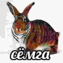 5mewmetal