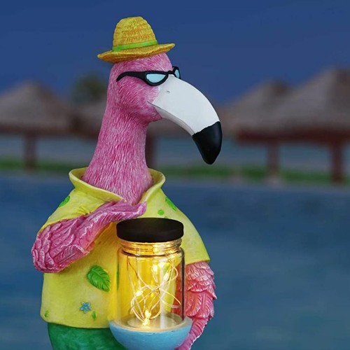 Flamingos And Fireflies