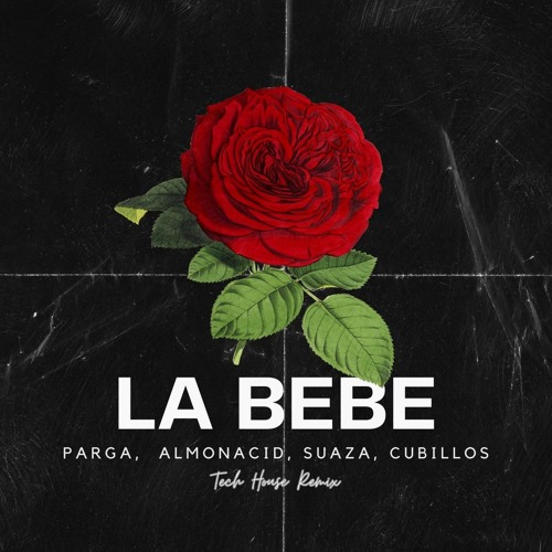 La Bebe (Nico Parga, Ivan Almonacid, Mario Suaza, Manuel Cubillos TechHouse Remix) RadioEdit