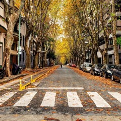 Autumn Vibrant Mix (Buenos Aires)