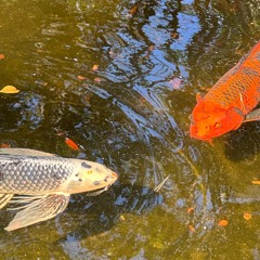 Catching the sun with you