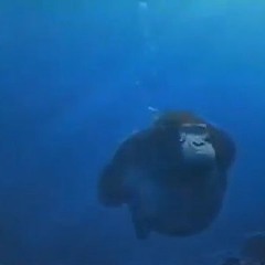 Monquatic Ambiance