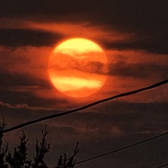 Dawn