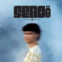 I Can Feel The Beat - SENO