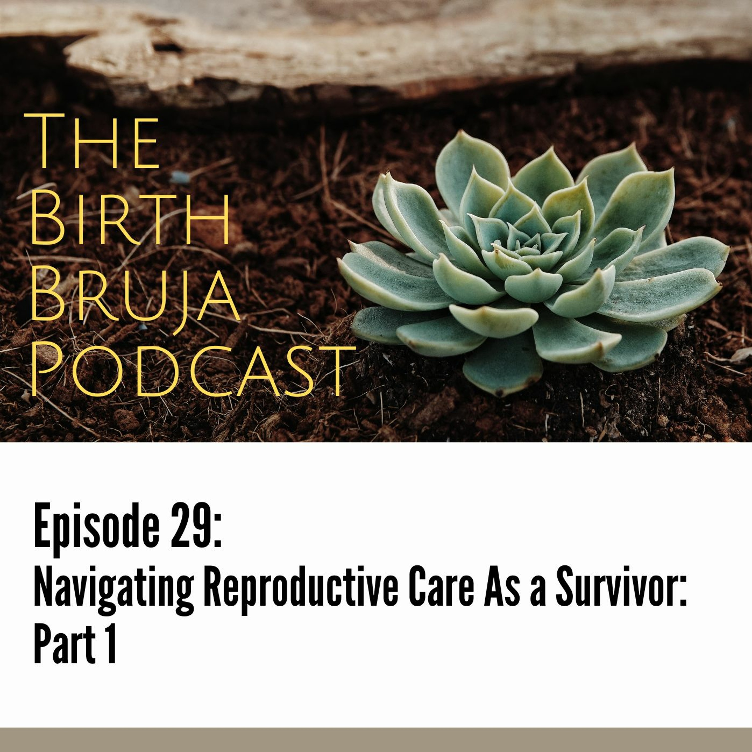 Birth Bruja Podcast