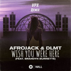 Afrojack & DLMT - Wish You Were Here feat. Brandyn Burnette(VPX Remix)