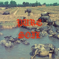 Pure Soil 090922