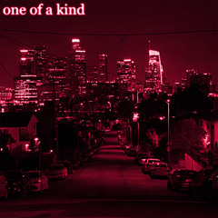 one of a kind