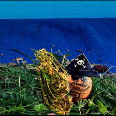 Skrech majstor Ljuban- Lalala (feat. Shonegrad O'Connor)