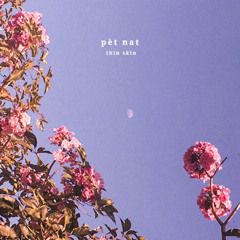 Pèt Nat - Thin Skin