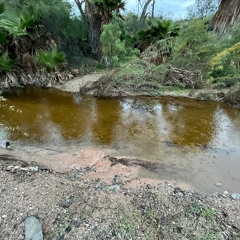 Boring ambient abandoned alt account Иҟалап мышкызны даҽазнык сҽазысшәар