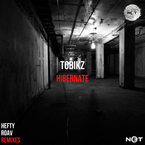 Tobikz - Hibernate (Original Mix)