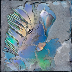 Catartsis - 19 Juin 2025