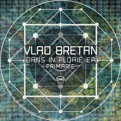Vlad Bretan - Bound (Original Mix) Preview