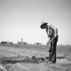 From a Farmboy's Perspective