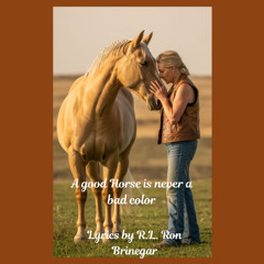 Good Horse is never a bad color
