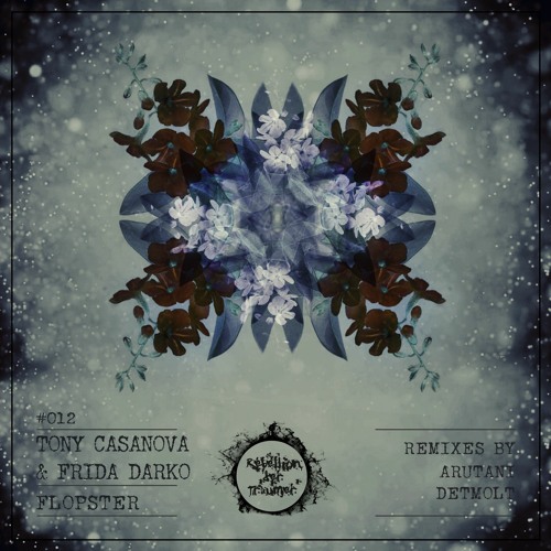 Frida Darko & Tony Casanova - Flopster (DETMOLT Remix)