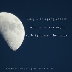 _naviarhaiku363